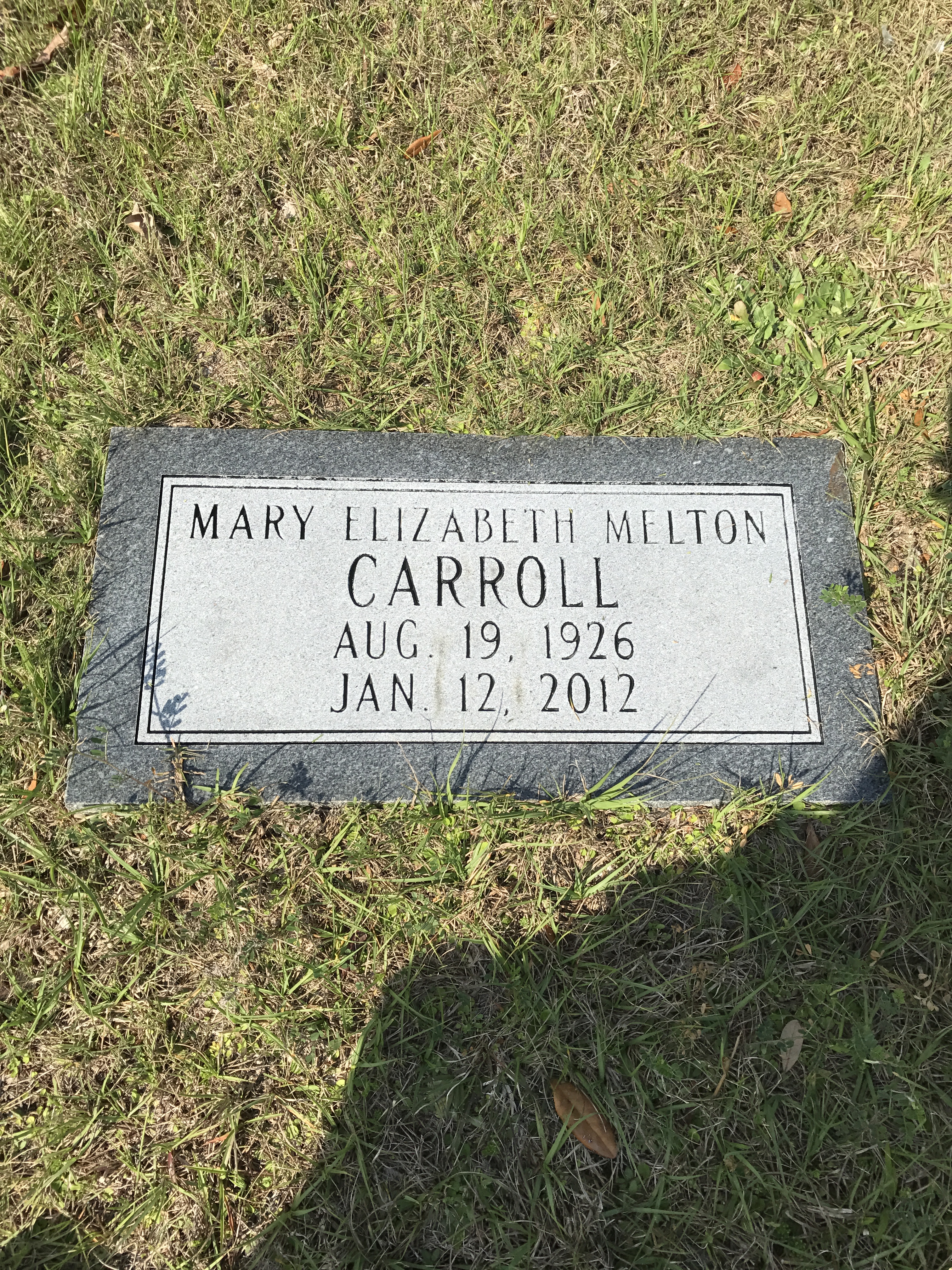 Mary Elizabeth Carroll